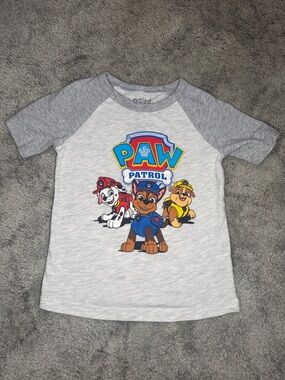Paw Patrol Kids Grey Raglan Tee with Colorful Character Graphic